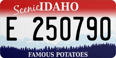 ID license plate E250790