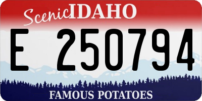 ID license plate E250794