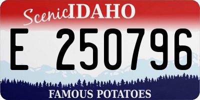 ID license plate E250796