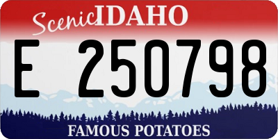 ID license plate E250798