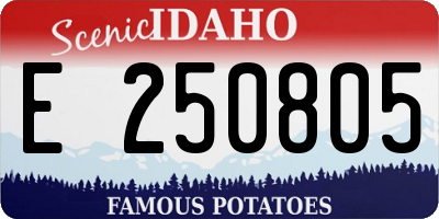 ID license plate E250805