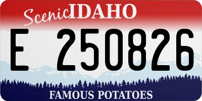 ID license plate E250826