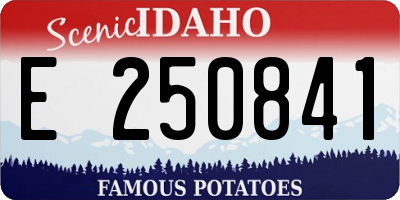ID license plate E250841
