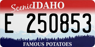 ID license plate E250853