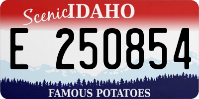 ID license plate E250854