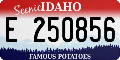 ID license plate E250856