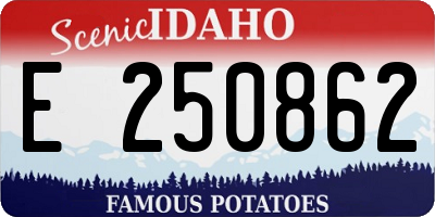 ID license plate E250862