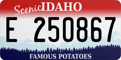 ID license plate E250867