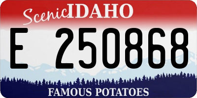 ID license plate E250868