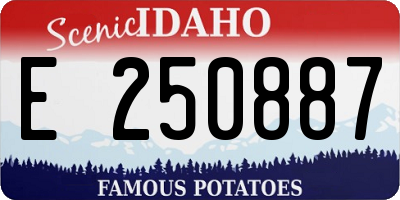 ID license plate E250887