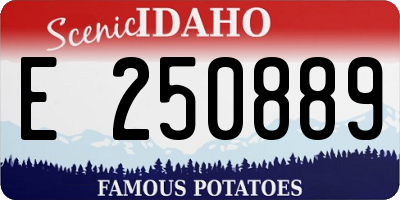 ID license plate E250889