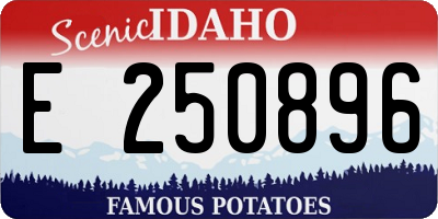 ID license plate E250896