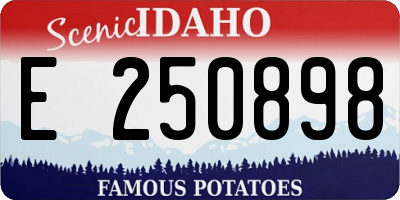 ID license plate E250898