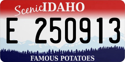 ID license plate E250913
