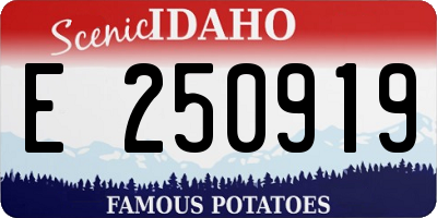 ID license plate E250919