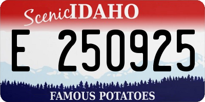 ID license plate E250925