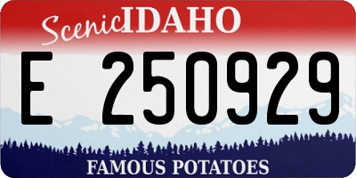 ID license plate E250929