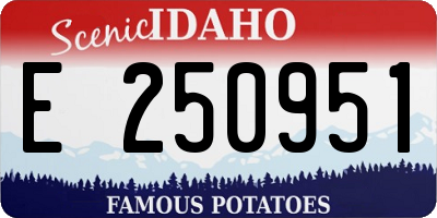ID license plate E250951