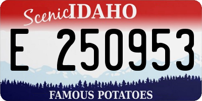 ID license plate E250953