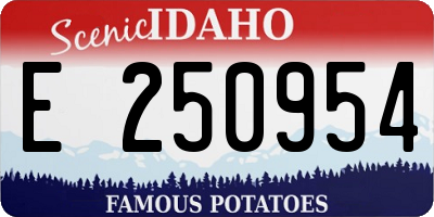 ID license plate E250954