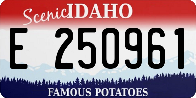 ID license plate E250961