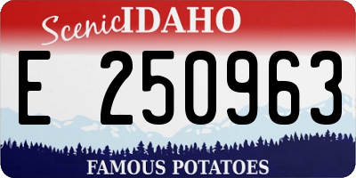ID license plate E250963