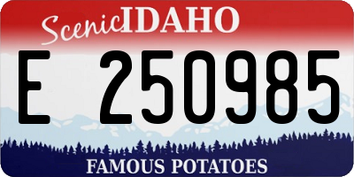 ID license plate E250985
