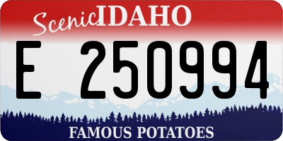 ID license plate E250994