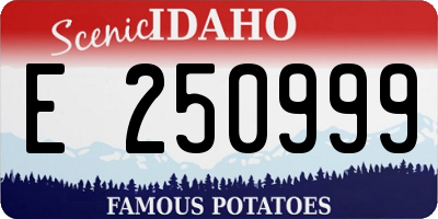 ID license plate E250999