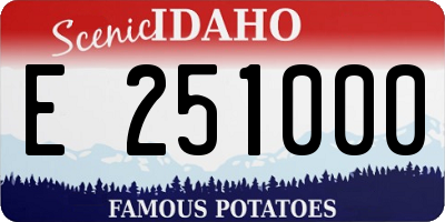 ID license plate E251000