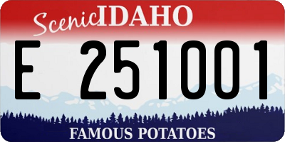 ID license plate E251001