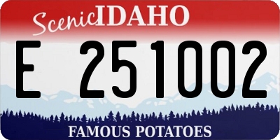 ID license plate E251002
