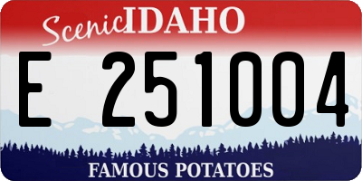 ID license plate E251004
