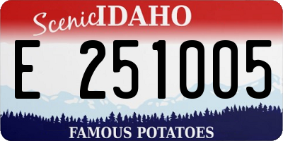 ID license plate E251005