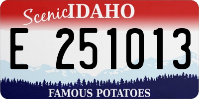 ID license plate E251013