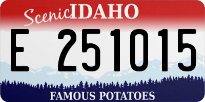ID license plate E251015