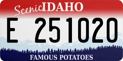 ID license plate E251020