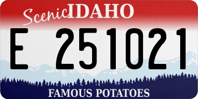 ID license plate E251021