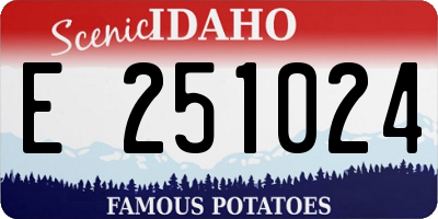 ID license plate E251024