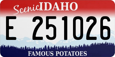 ID license plate E251026