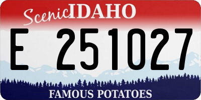 ID license plate E251027