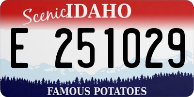 ID license plate E251029