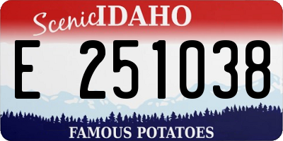 ID license plate E251038