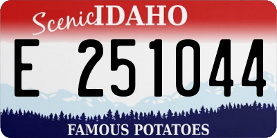 ID license plate E251044