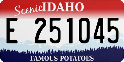 ID license plate E251045