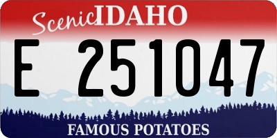 ID license plate E251047