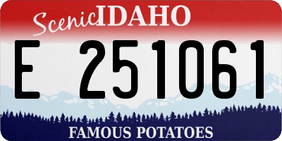 ID license plate E251061