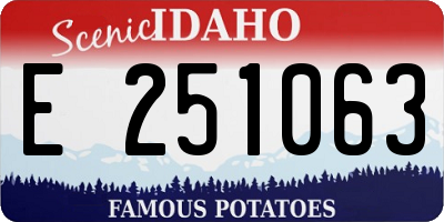 ID license plate E251063