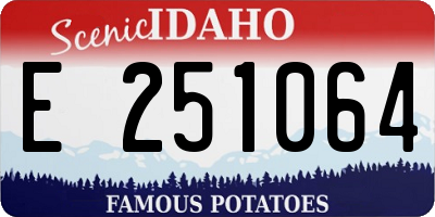 ID license plate E251064
