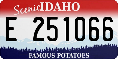 ID license plate E251066